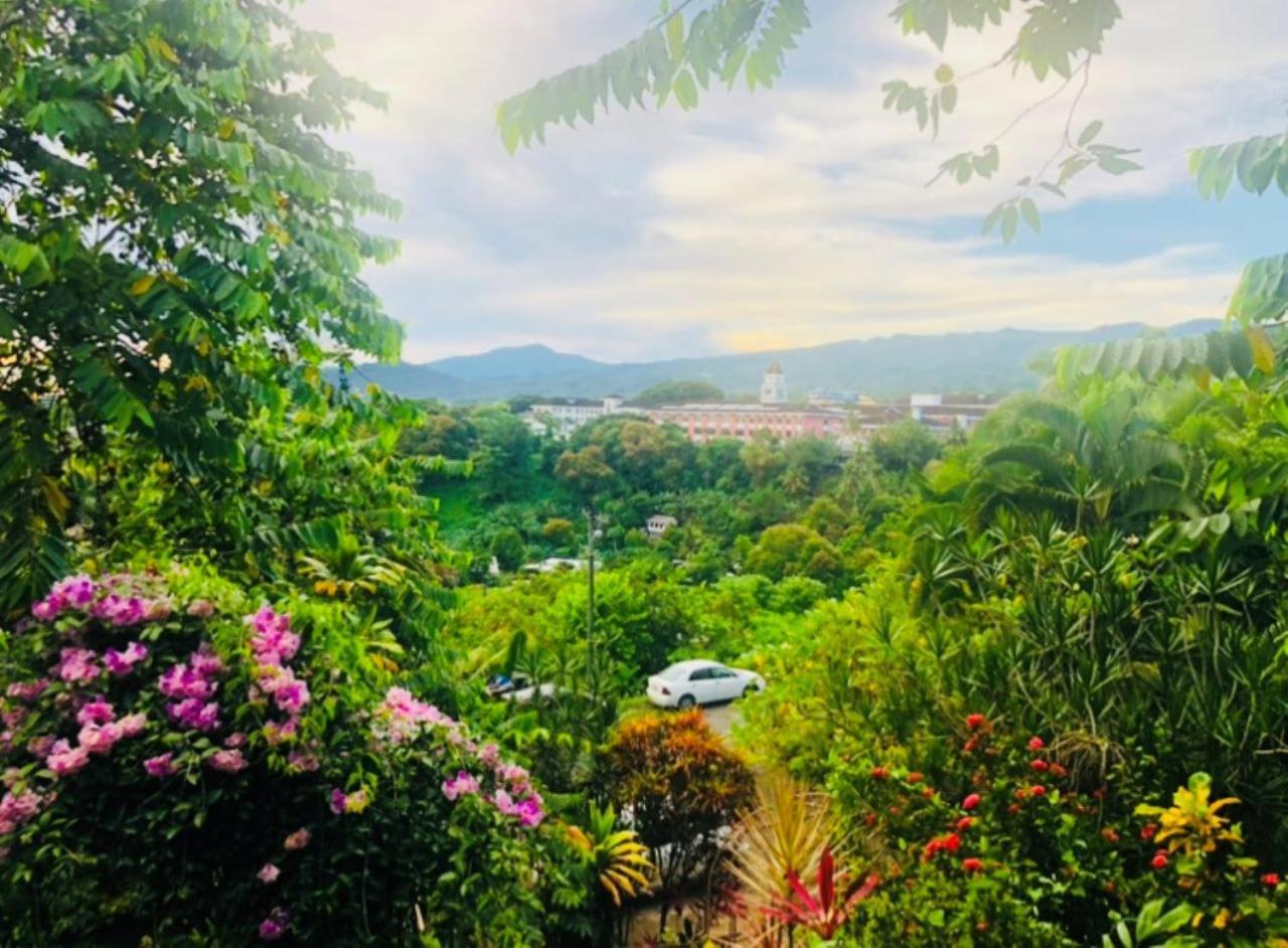 Bed and Breakfast Apaula Heights Lounge Apia Exterior foto